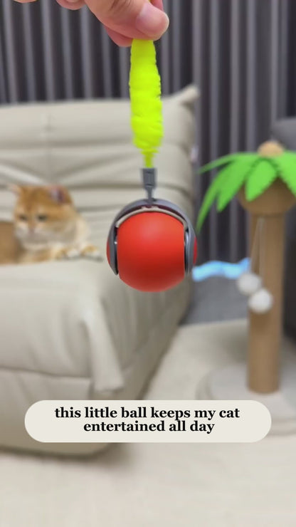 Rolling Ball Cat Toy