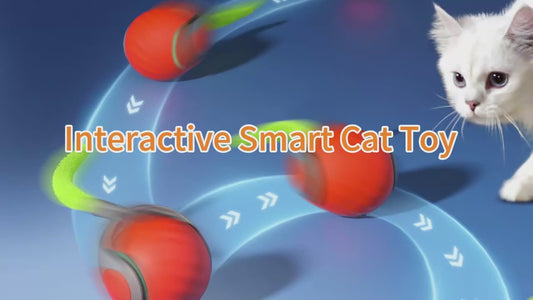 Rolling Ball Cat Toy